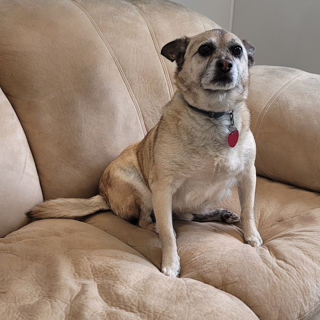 Max
