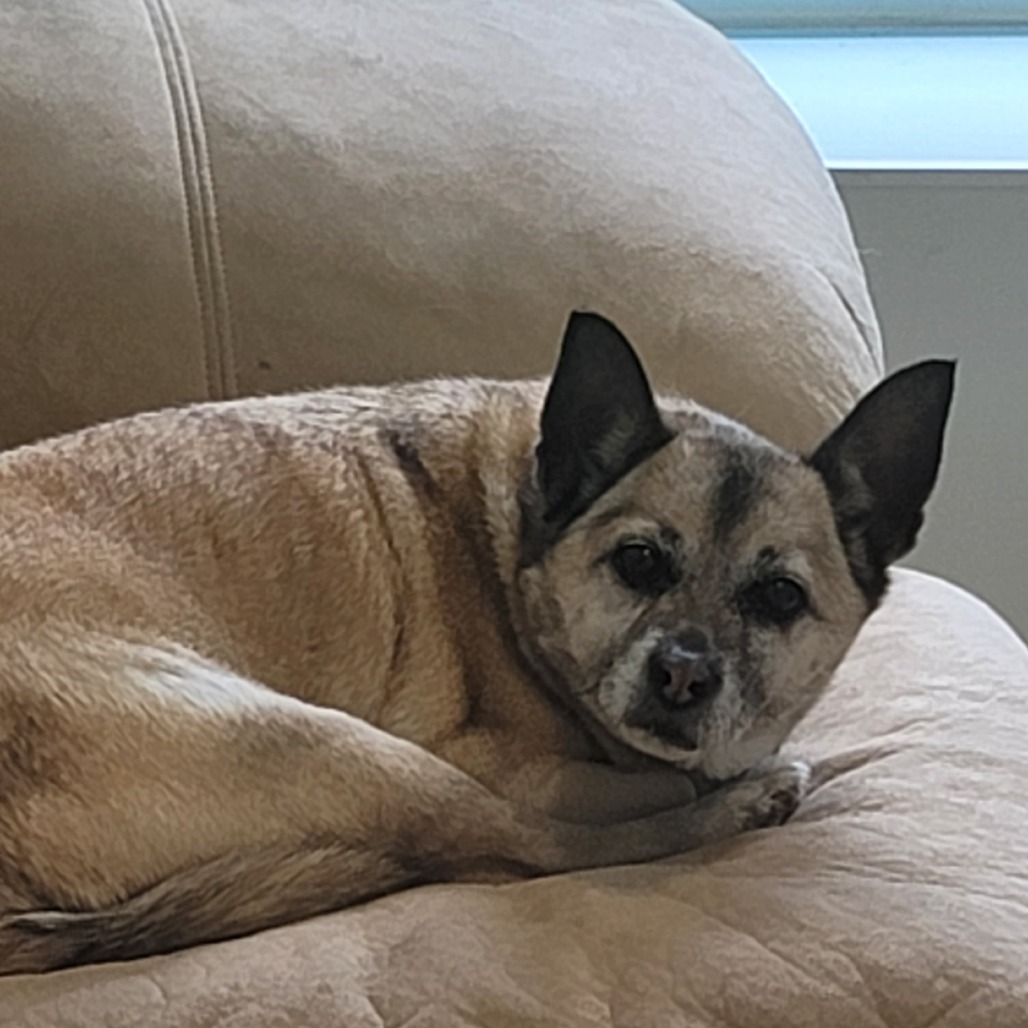 Max
