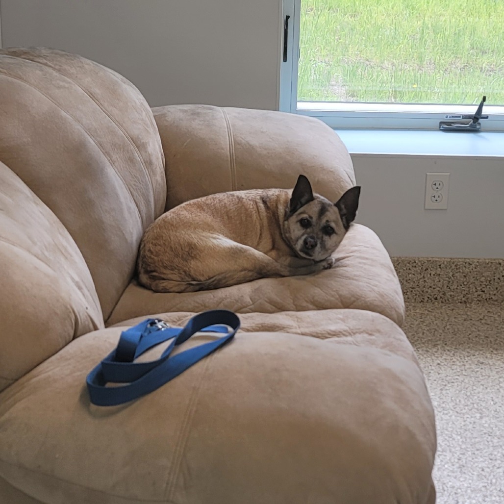 Max