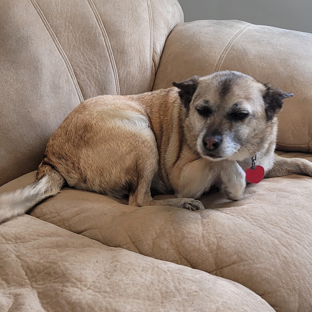 Max