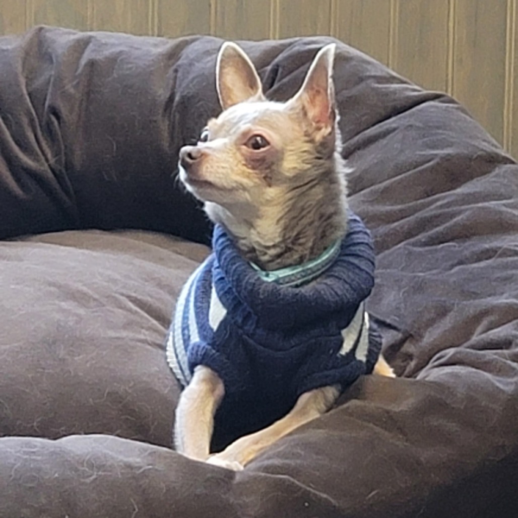 Oliver