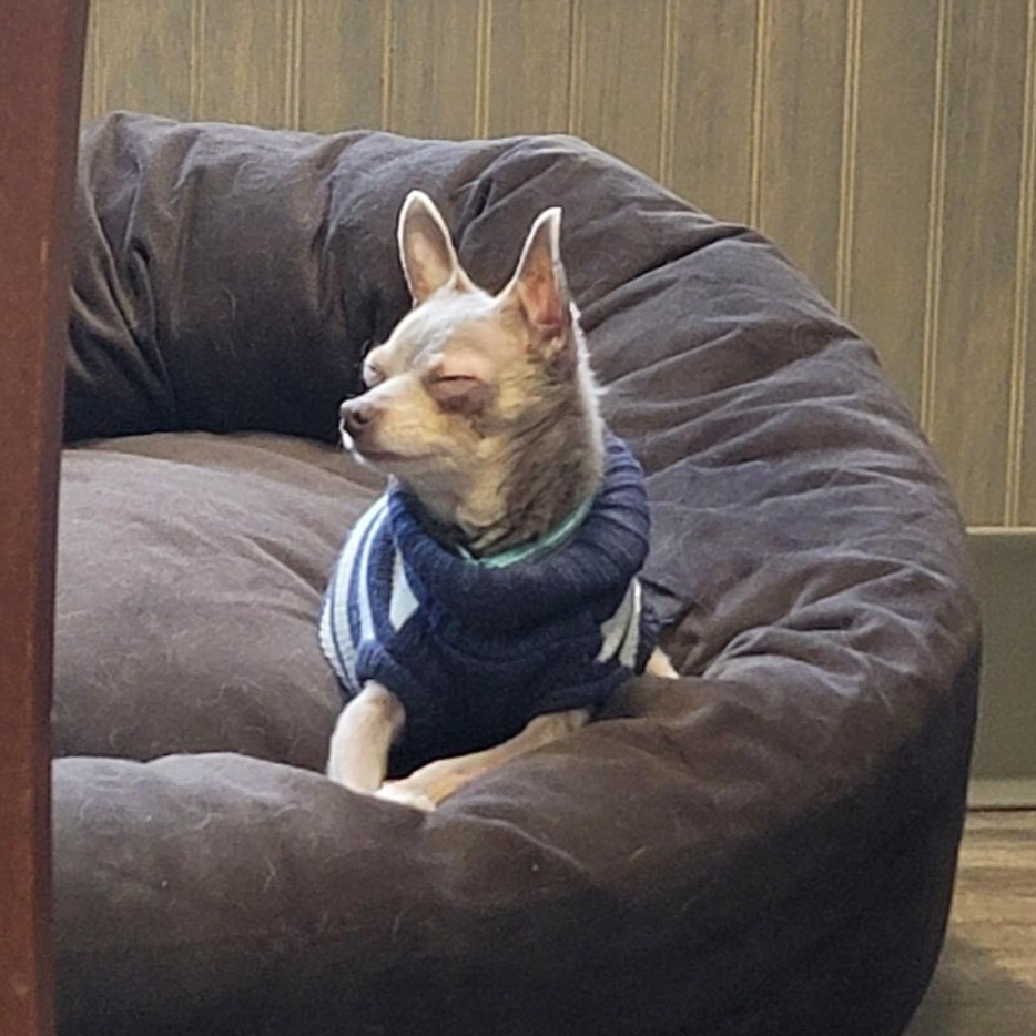 Oliver