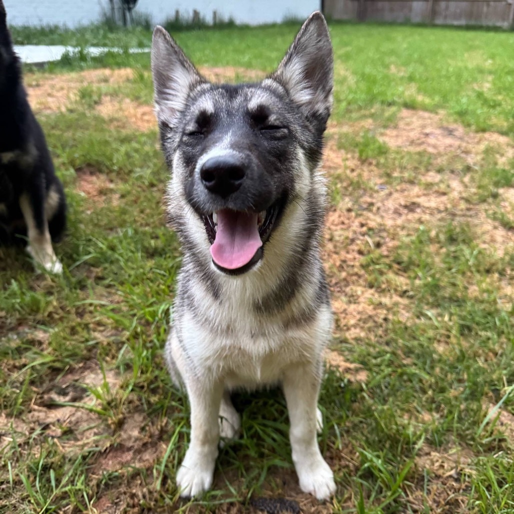 Bonnie