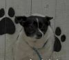 Thumper bonded to Mandy photo 3