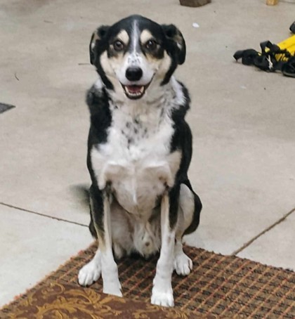 Blaze bonded to Aliena