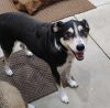 Blaze bonded to Aliena photo 2