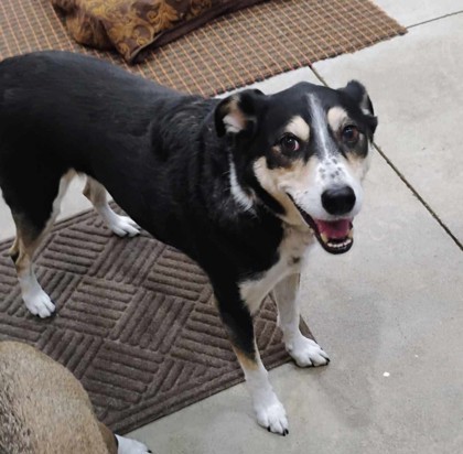 Blaze bonded to Aliena