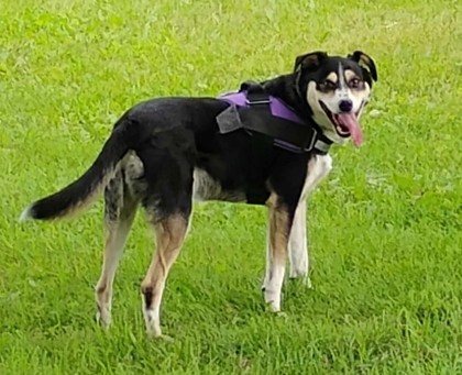 Blaze bonded to Aliena