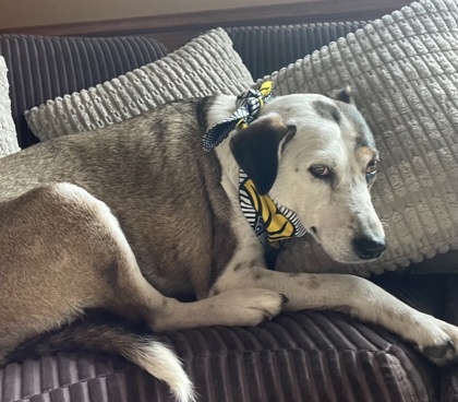 Aliena bonded to Blaze