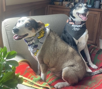 Aliena bonded to Blaze