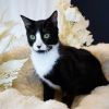 Jack photo 1