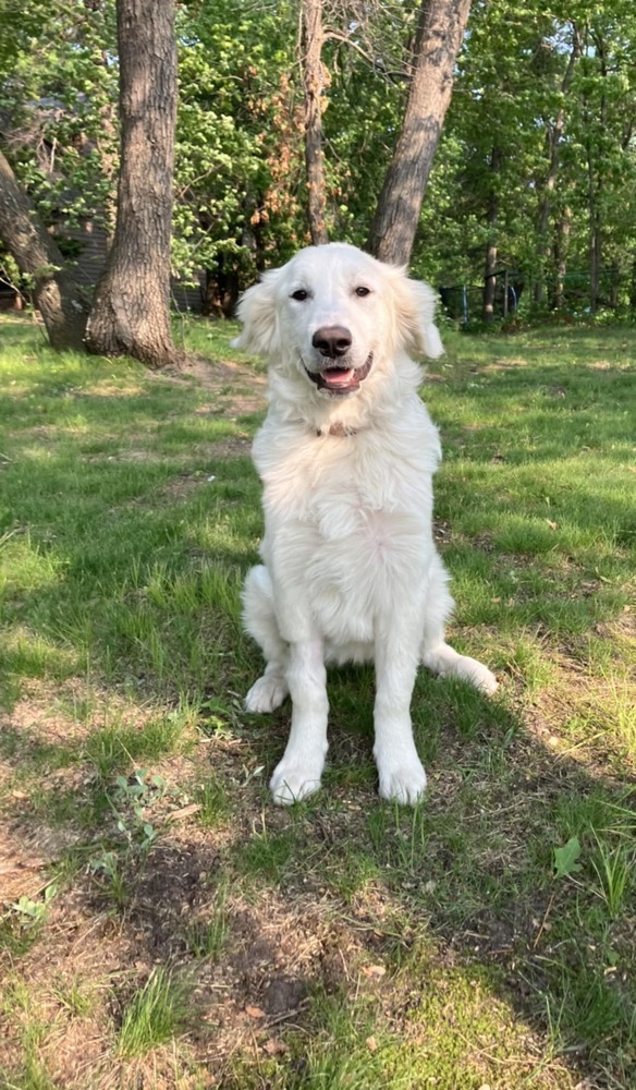 Nilla