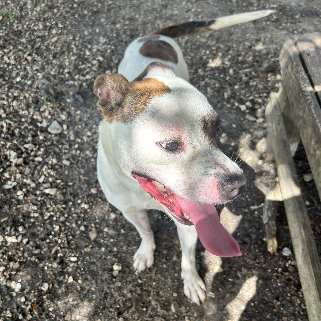 Remmy