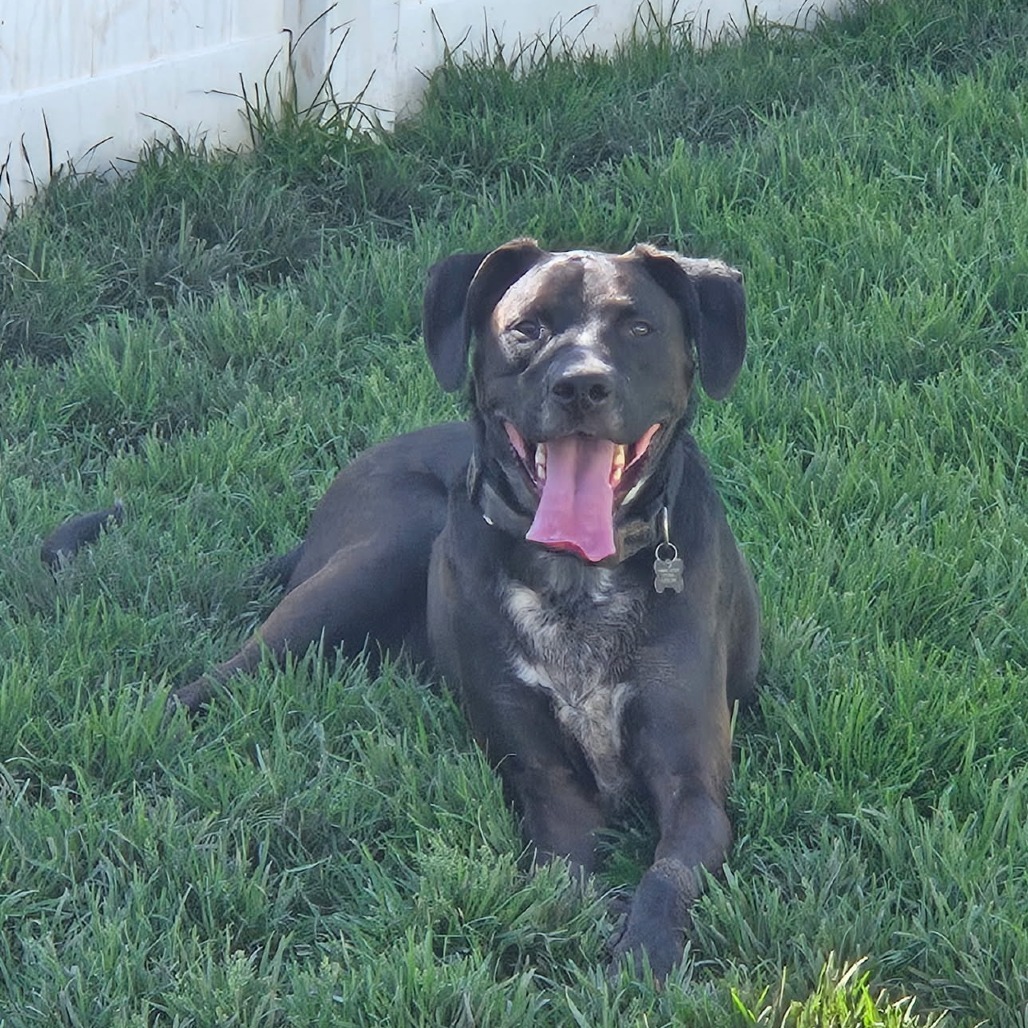 Rex