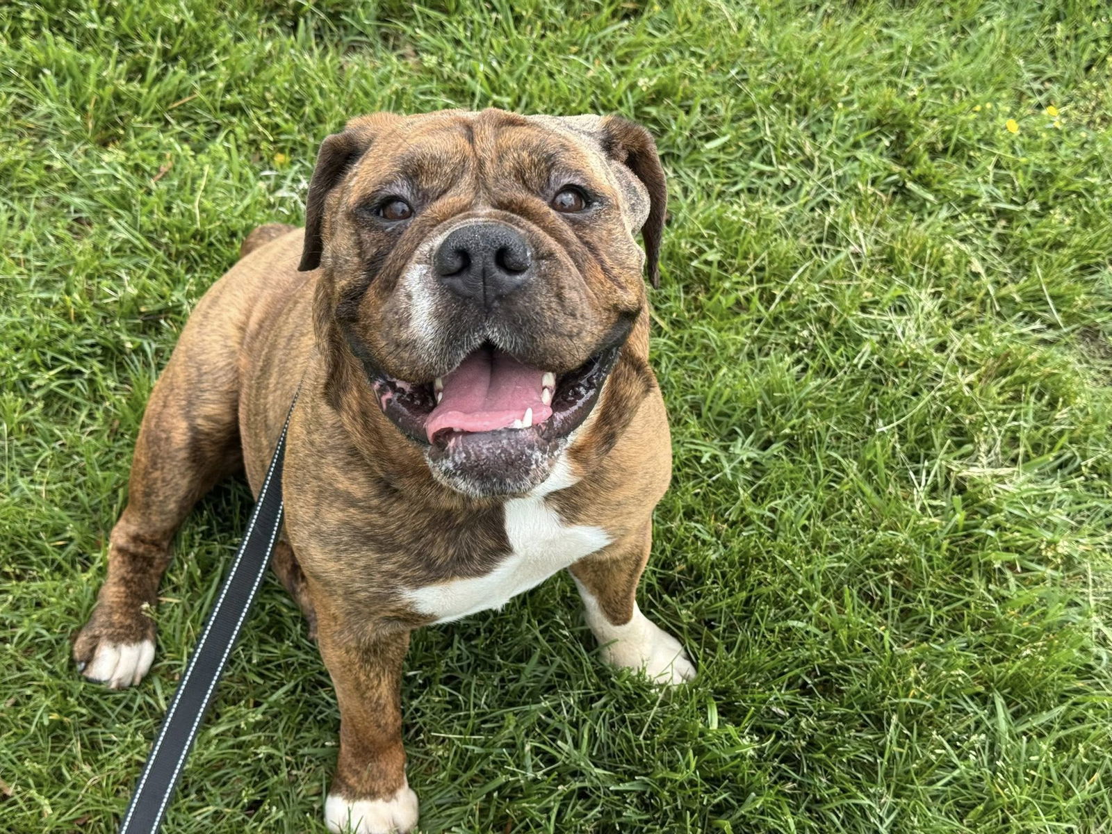 Maddie Mae