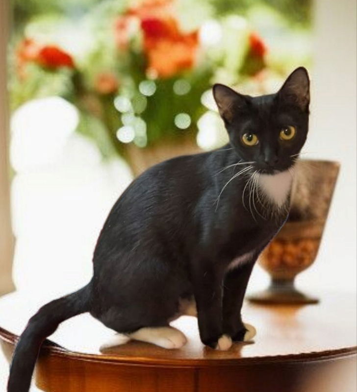 Cajun