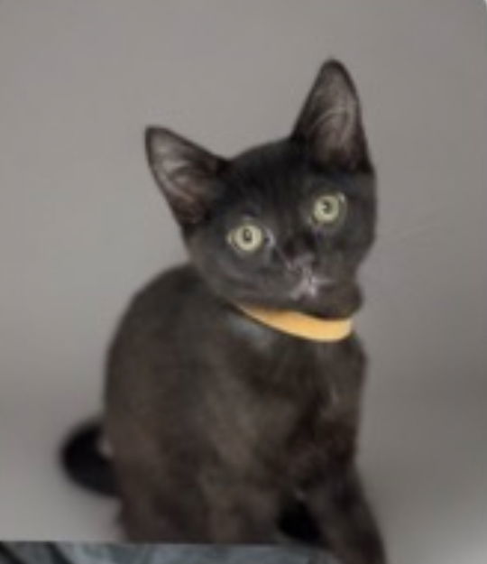O&#39;Malley