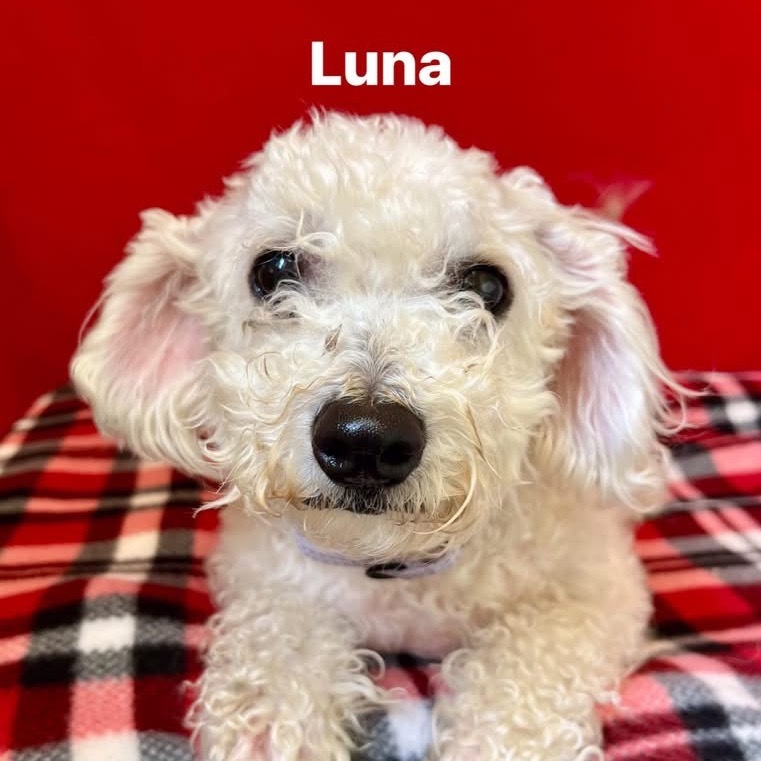 Luna