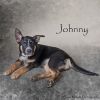 Johnny photo 1