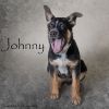 Johnny photo 2