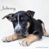 Johnny photo 3