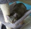 Tiggs photo 2