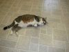Emmett photo 3