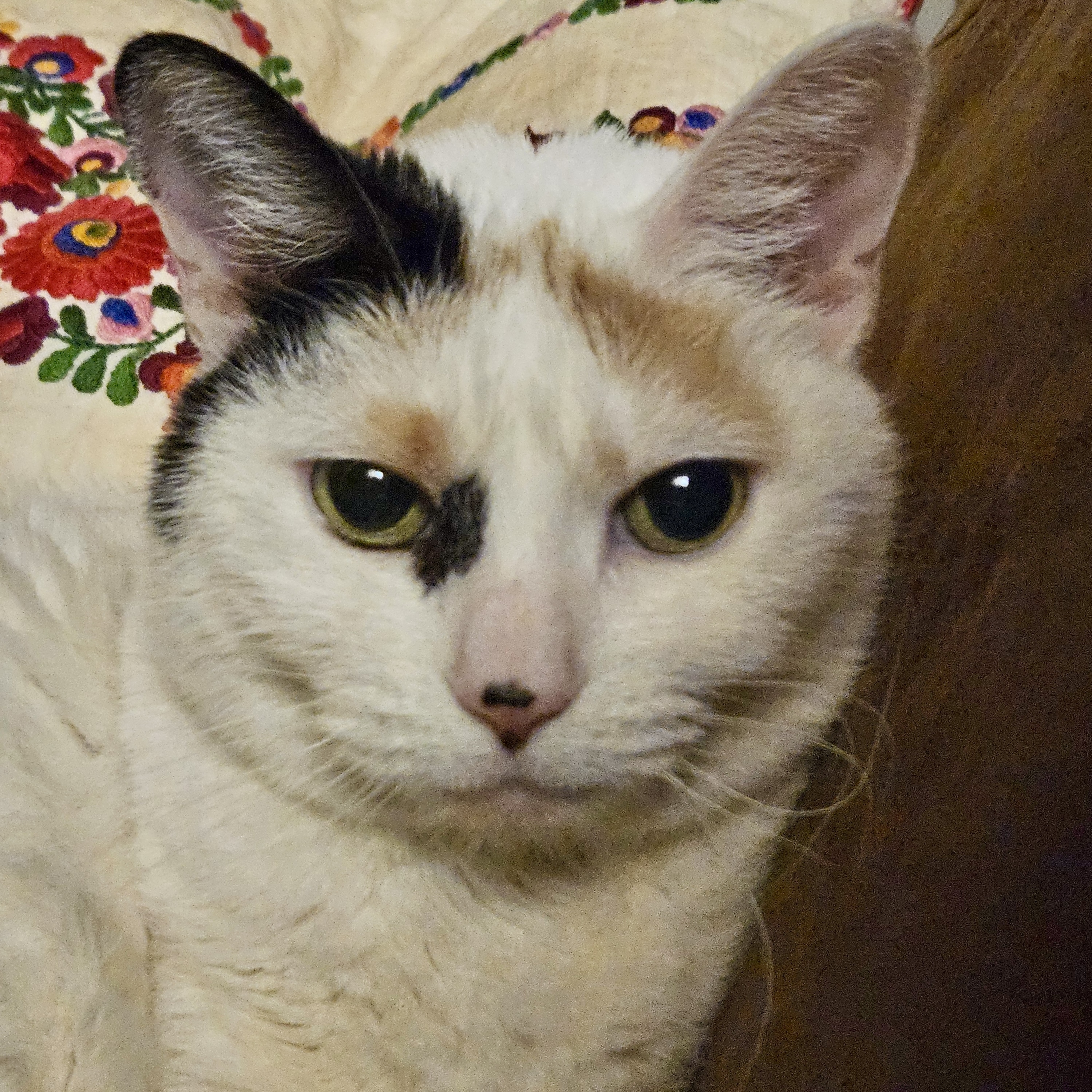 Malushka