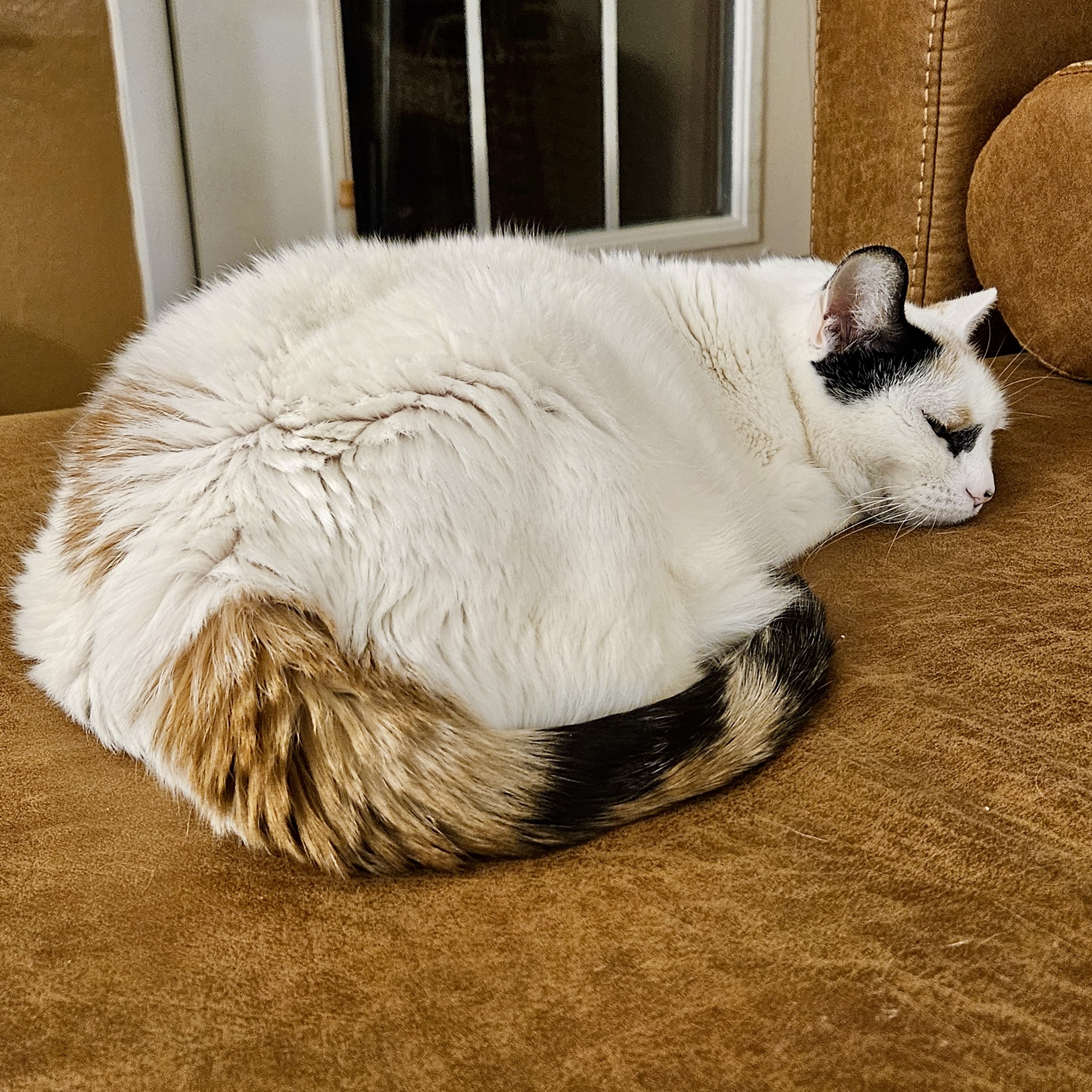 Malushka
