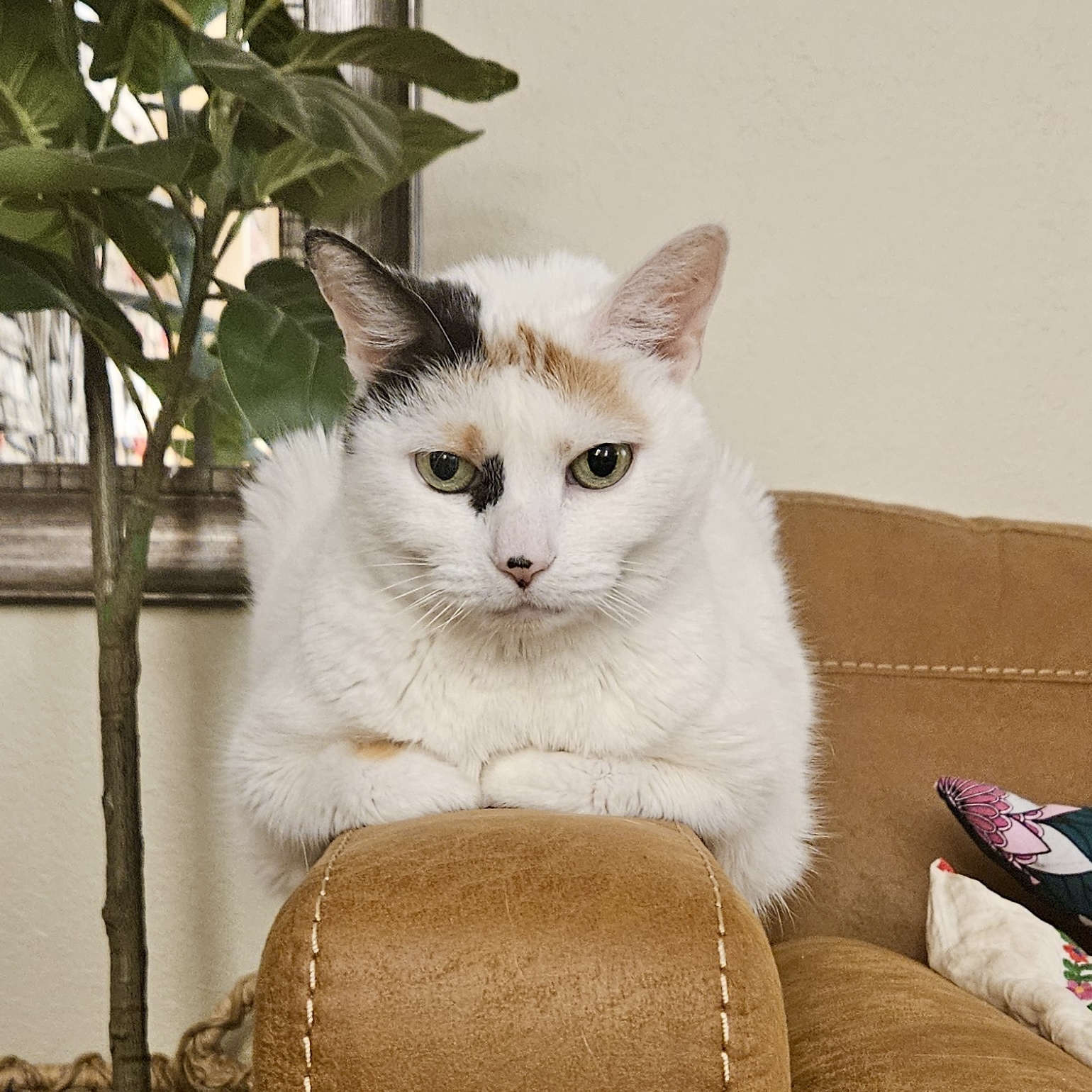 Malushka