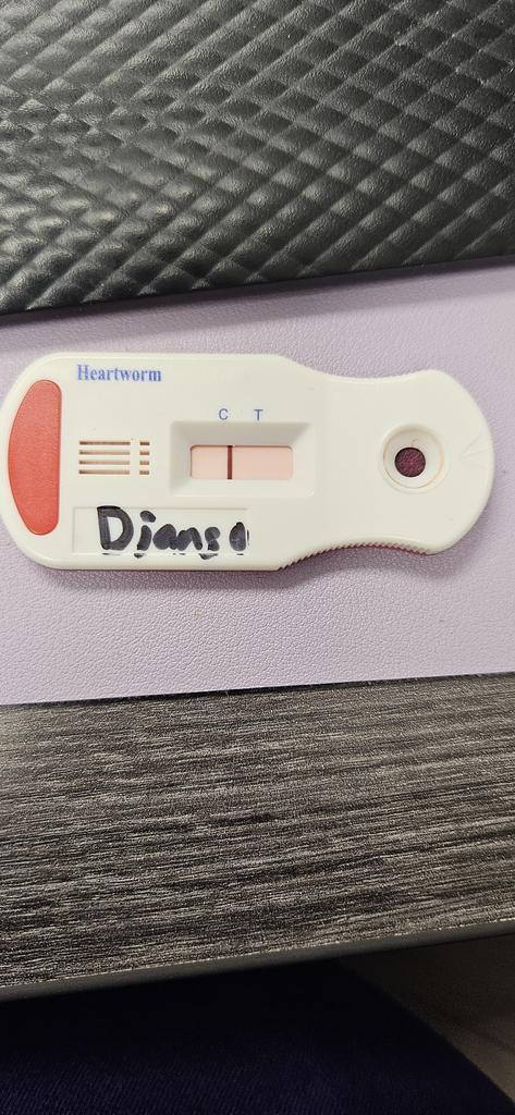 Django