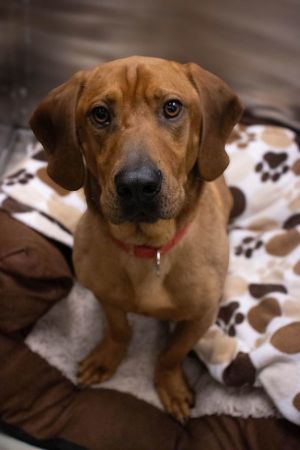Hii My name is Kai Im sweet goofy  full of love - I am going to make an incredible
