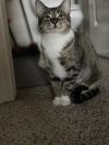 Daisy photo 2