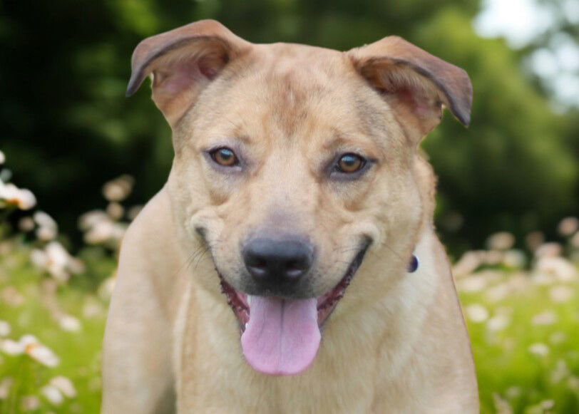 Keagan - MEET @ PETCO 7/5!