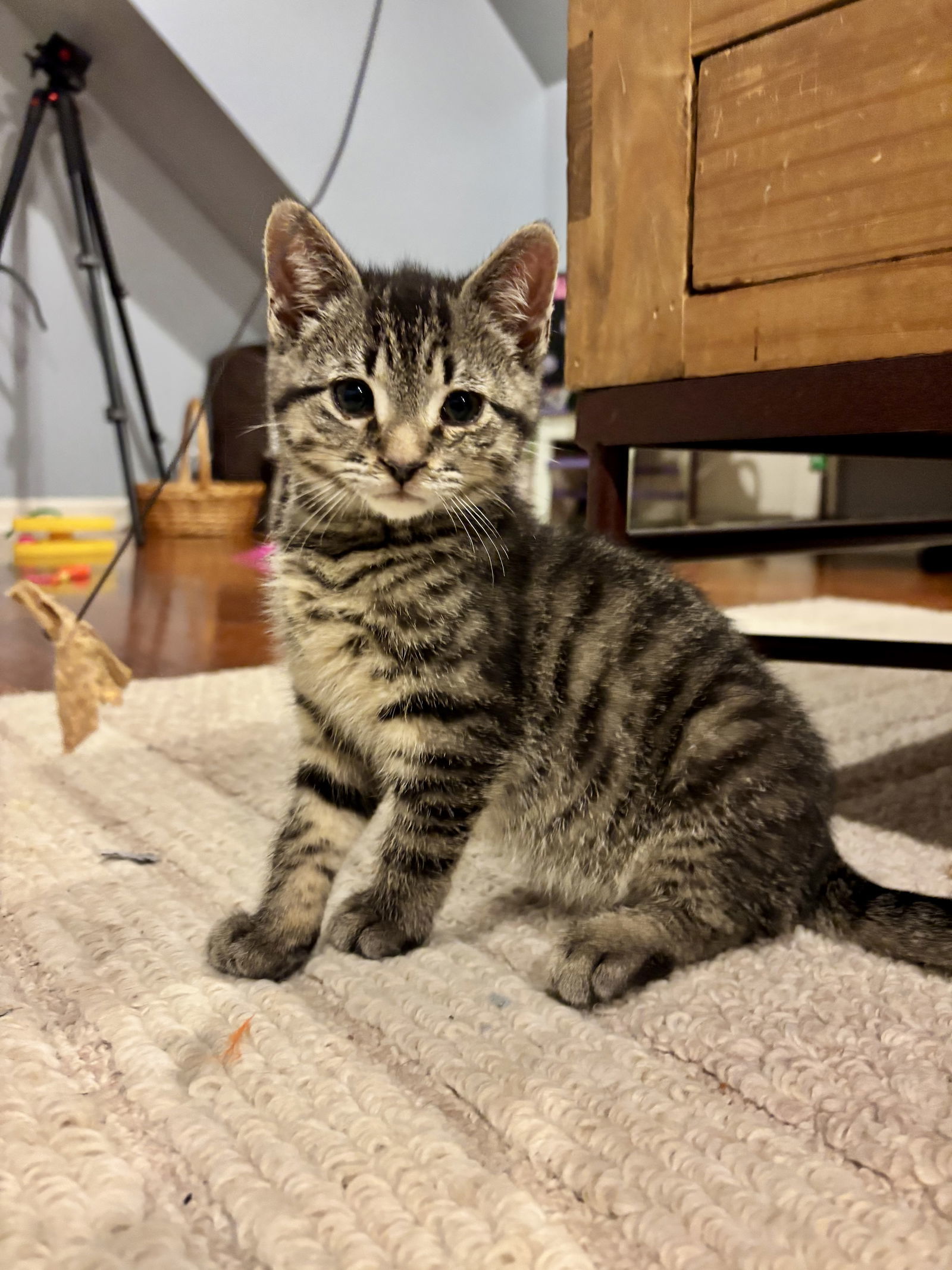 Sammy