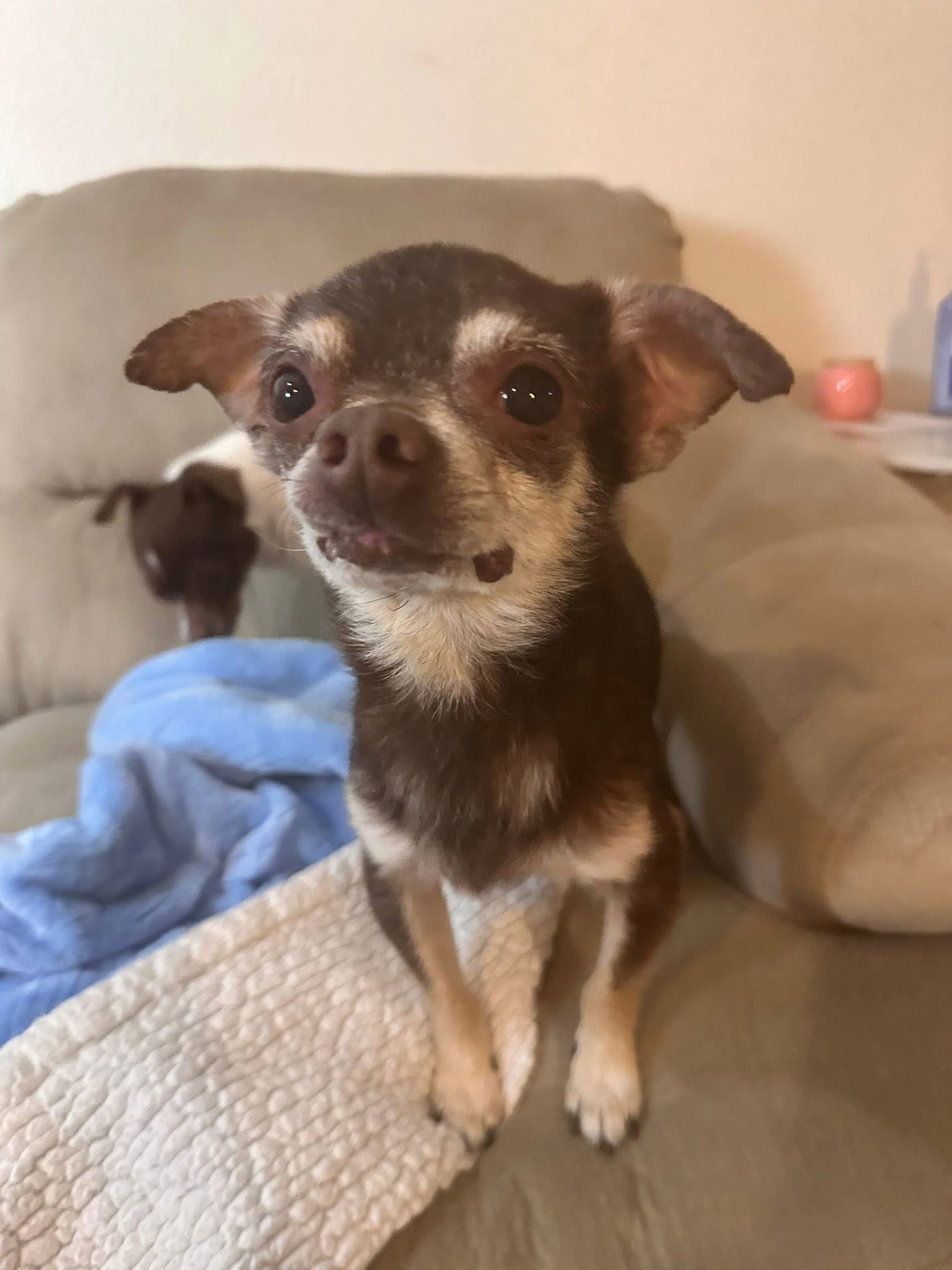 Wilbur