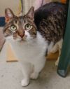 Tabitha photo 2