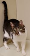 Tabitha photo 3