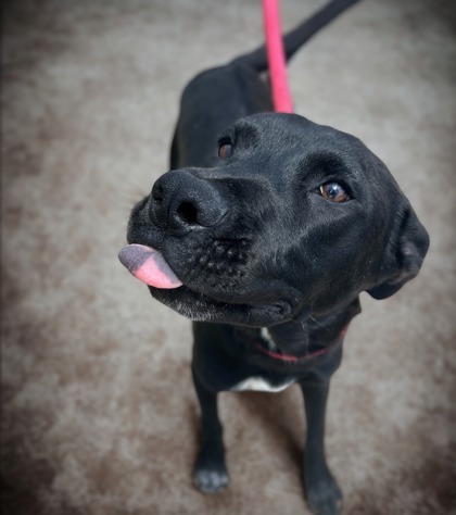 Peanut