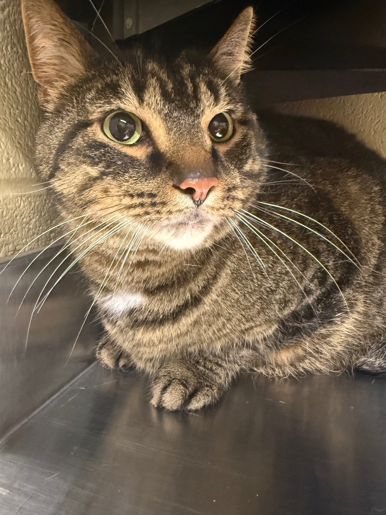 Oliver