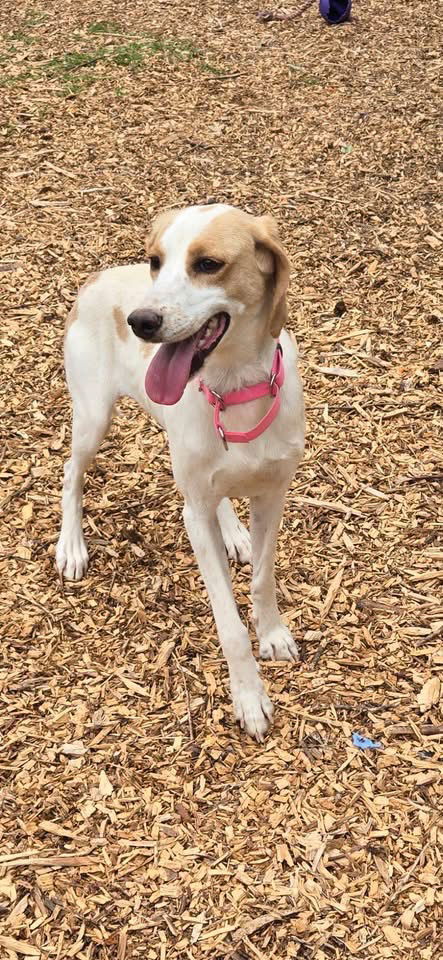 May - At shelter available 5/25