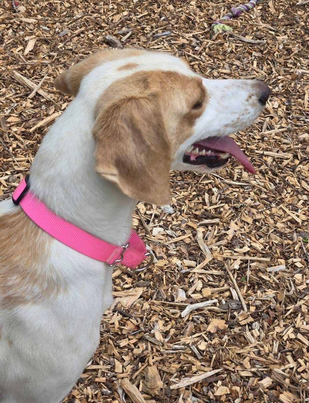 May - At shelter available 5/25