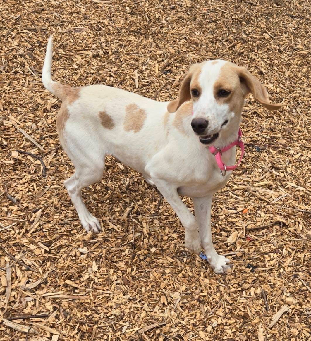 May - At shelter available 5/25