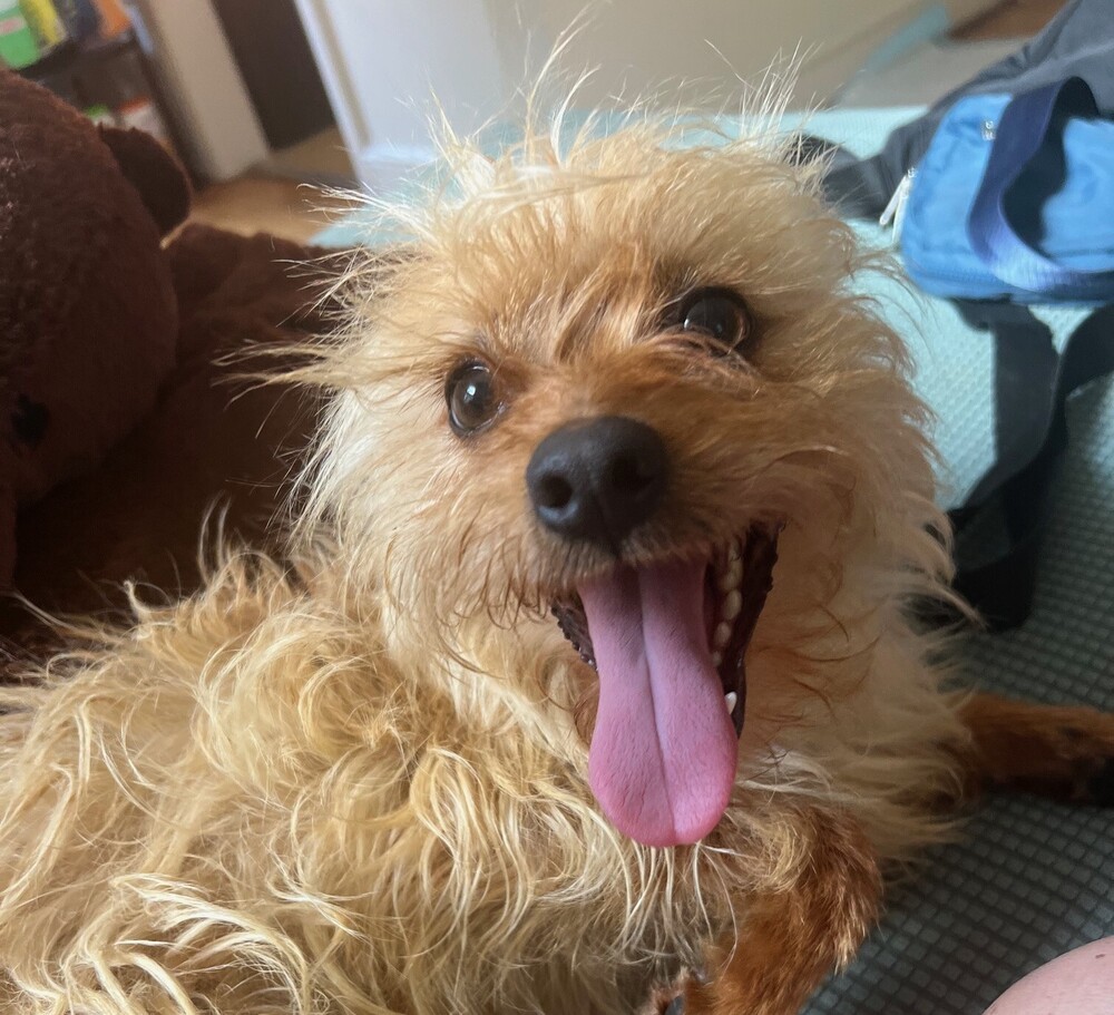 Toto