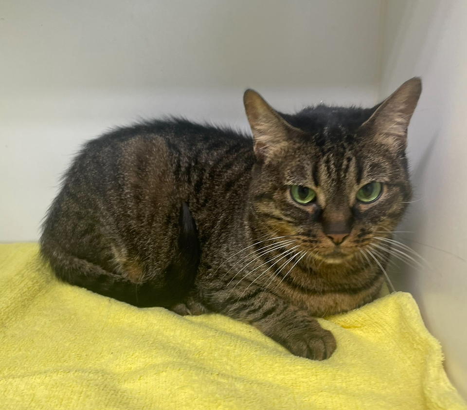Huckleberry ~ Senior Girl!