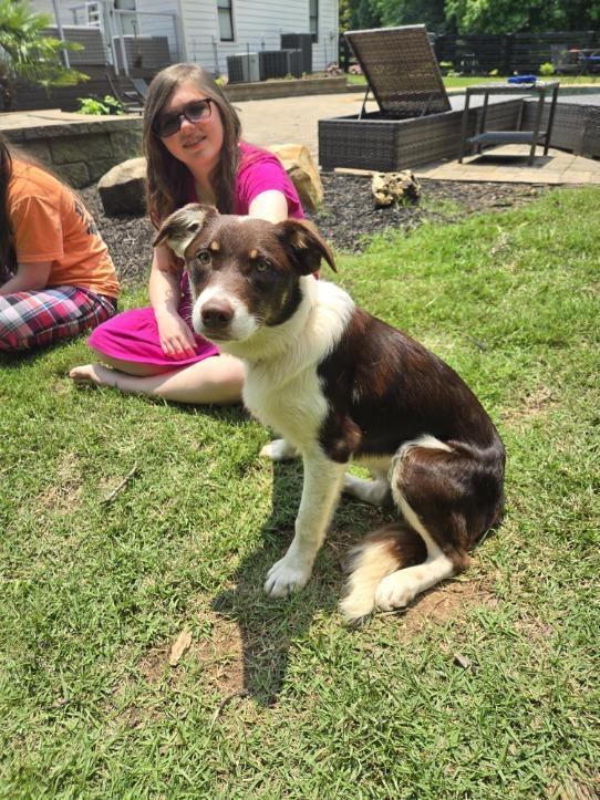 Abbott (Cartersville Pups)