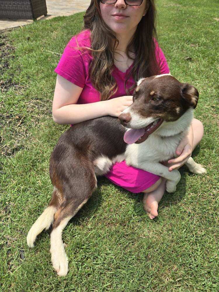 Abbott (Cartersville Pups)