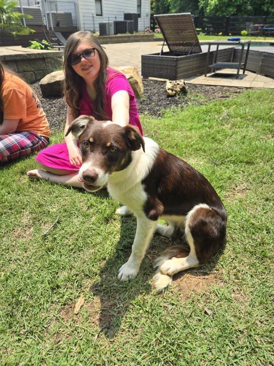 Abbott (Cartersville Pups)