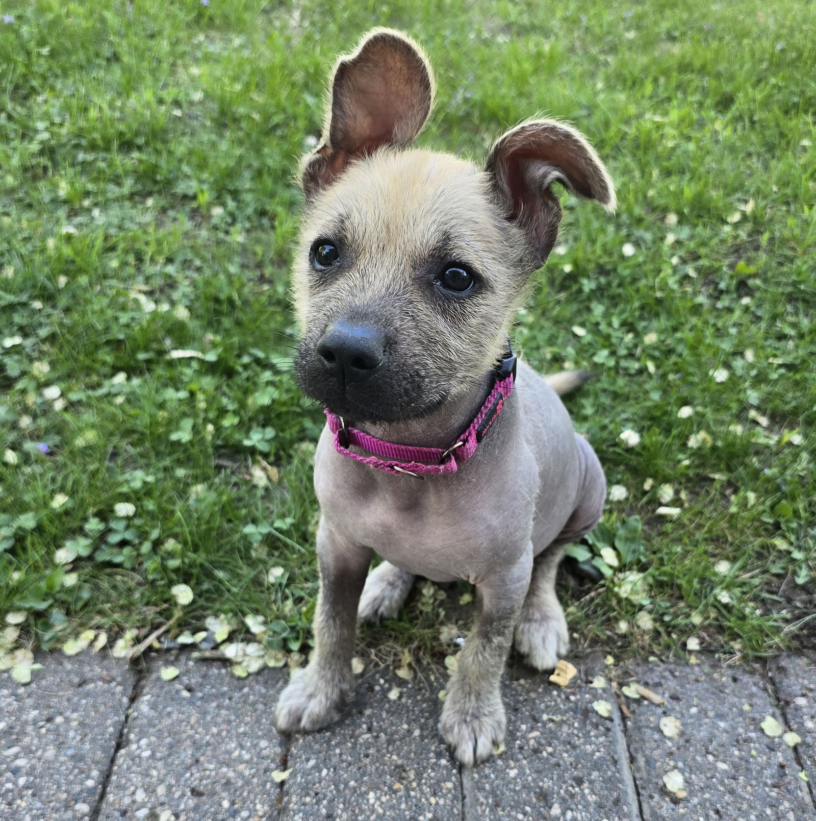Jada