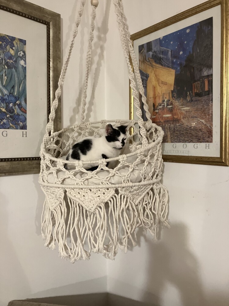 Angel